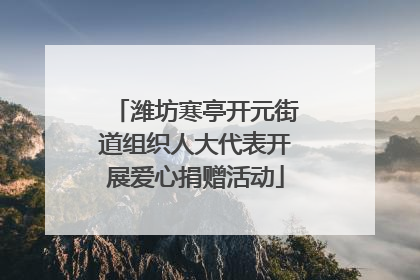 潍坊寒亭开元街道组织人大代表开展爱心捐赠活动
